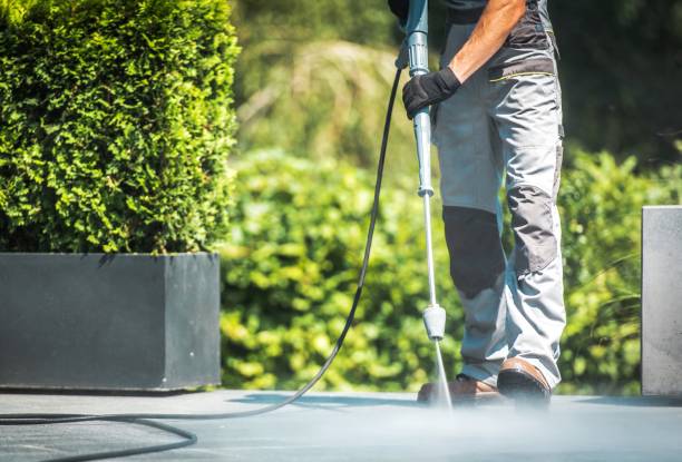 Animal Enclosure Cleaning in Wailua, HI